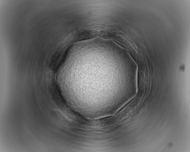 X0000099520659200805291212