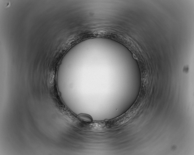 X0000099520660200805291212