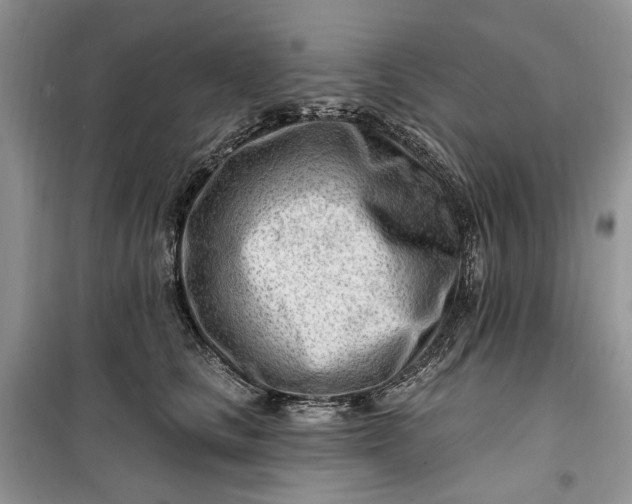 X0000099520661200805291212