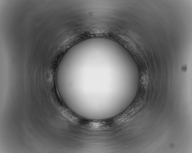 X0000099520662200805291212