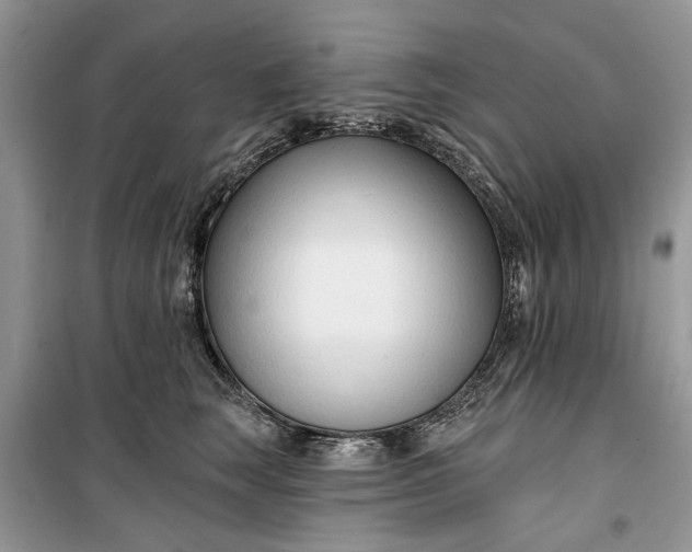 X0000099520663200805291212