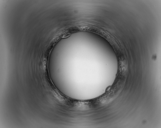 X0000099520664200805291212