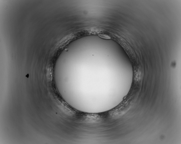 X0000099520666200805291212