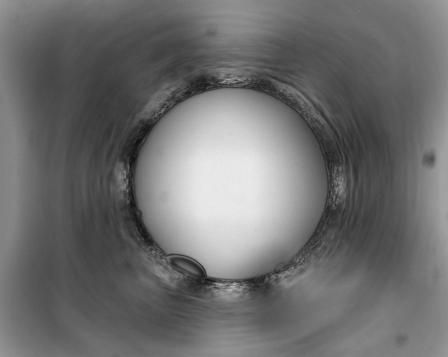 X0000099520667200805291212