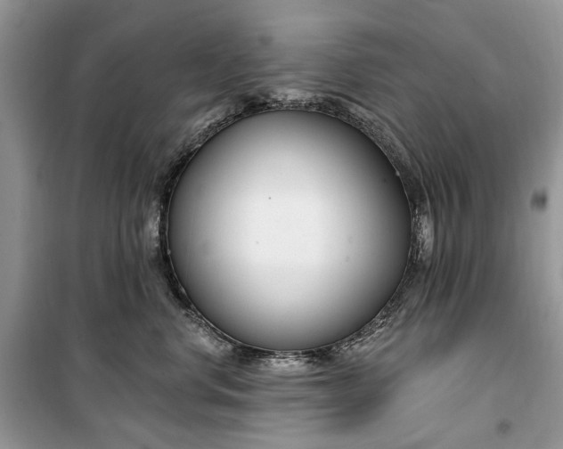 X0000099520668200805291212