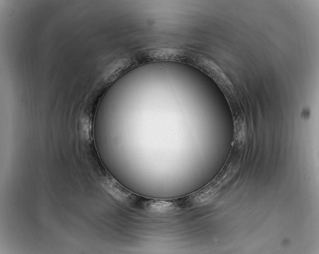 X0000099520669200805291212