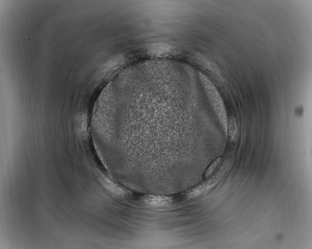 X0000099520670200805291212