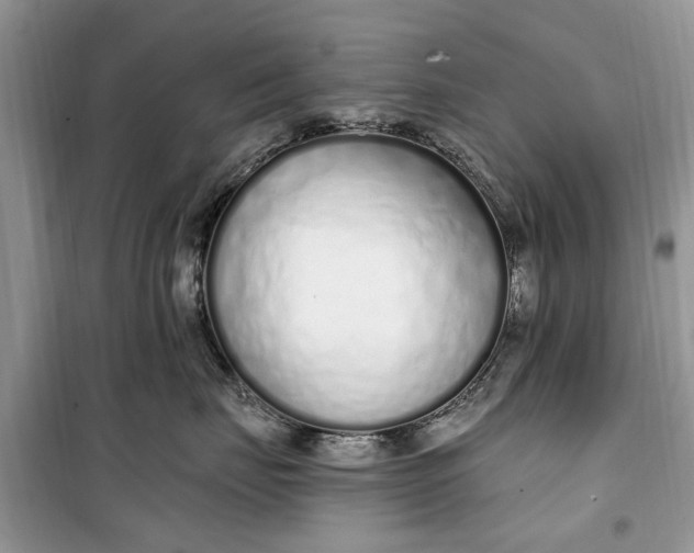 X0000099520671200805291212