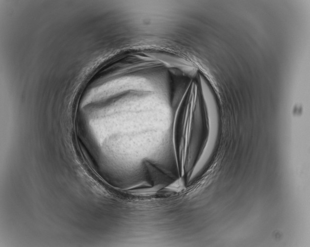 X0000099520673200805291211