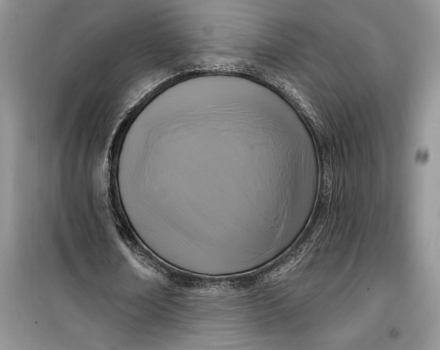 X0000099520674200805291211