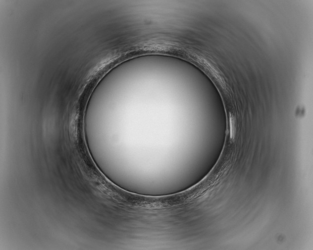 X0000099520675200805291211