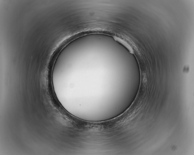 X0000099520676200805291211