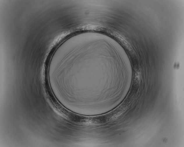 X0000099520678200805291211