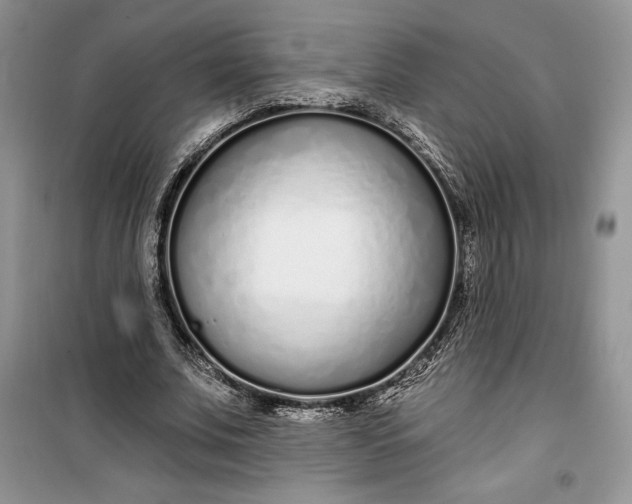 X0000099520679200805291211