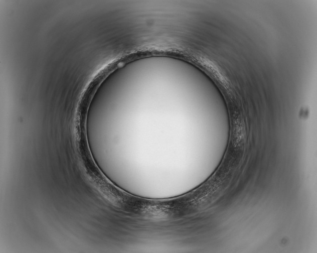 X0000099520680200805291211