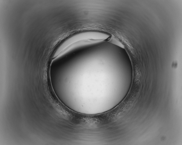 X0000099520681200805291211