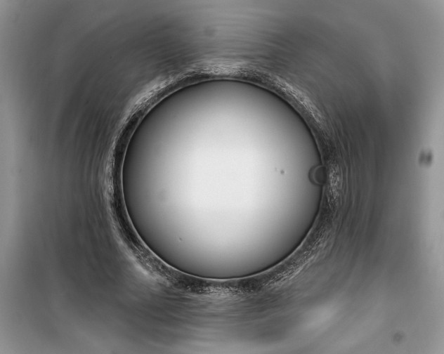 X0000099520682200805291211