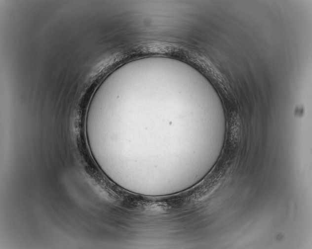 X0000099520683200805291211