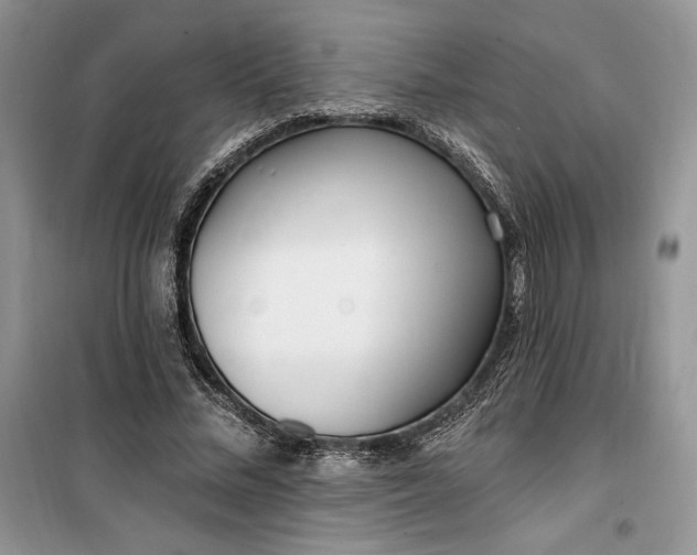 X0000099520684200805291211