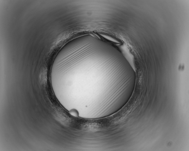 X0000099520685200805291211