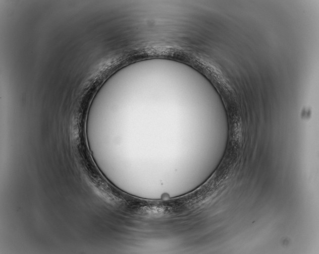 X0000099520687200805291211