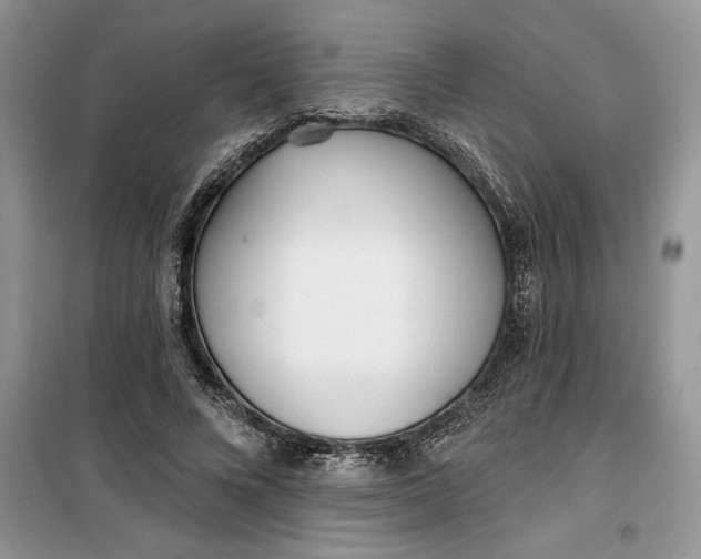 X0000099520688200805291211