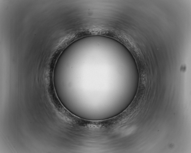 X0000099520690200805291211