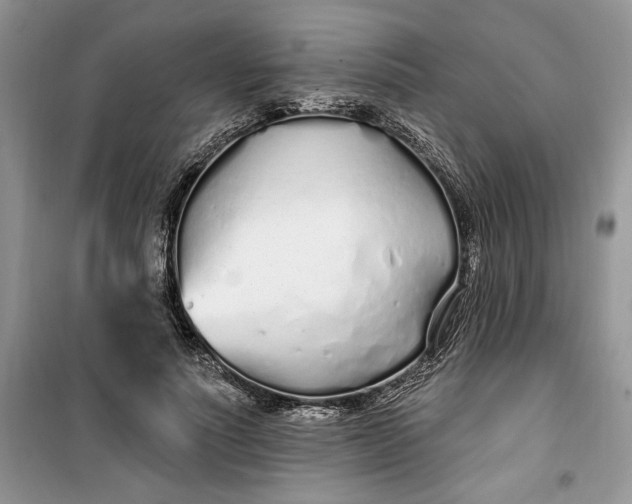 X0000099520691200805291211