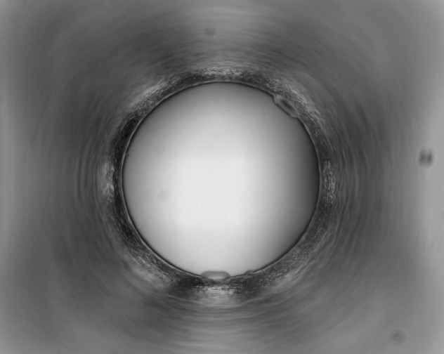 X0000099520692200805291211