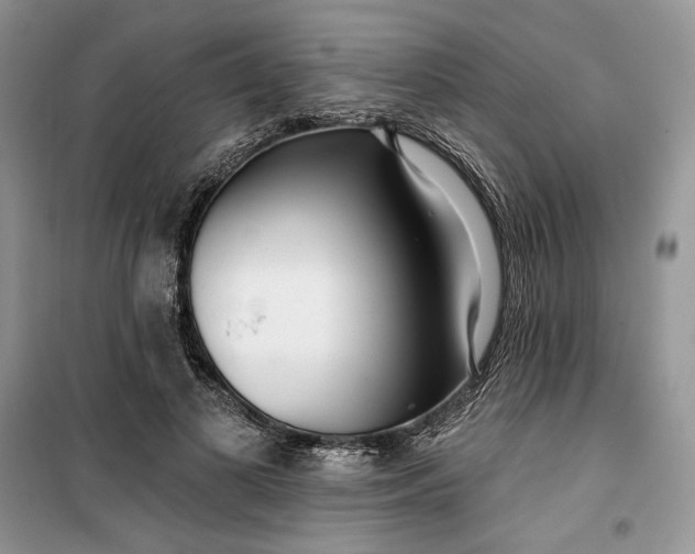 X0000099520693200805291211