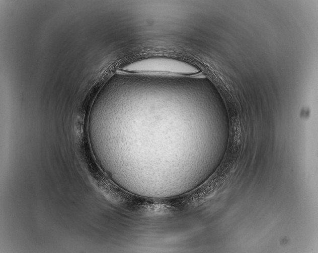 X0000099520695200805291211