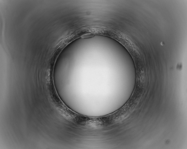 X0000099520696200805291211