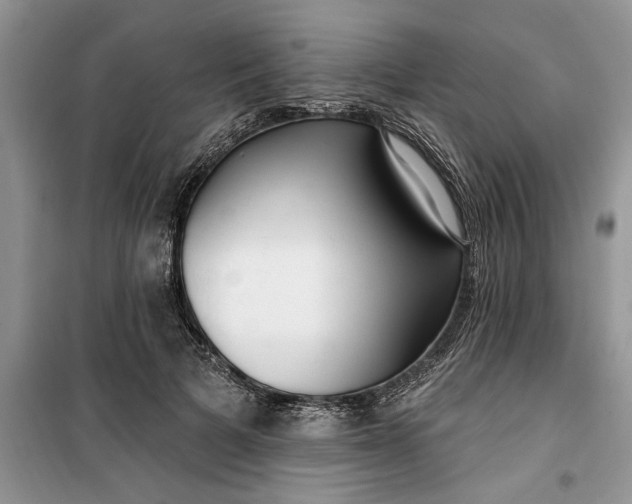 X0000099520697200805291211