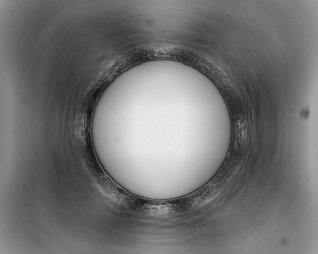 X0000099520698200805291211