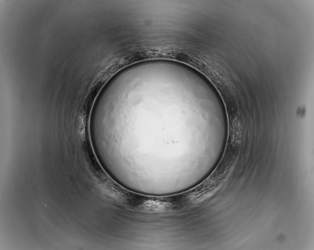 X0000099520699200805291211