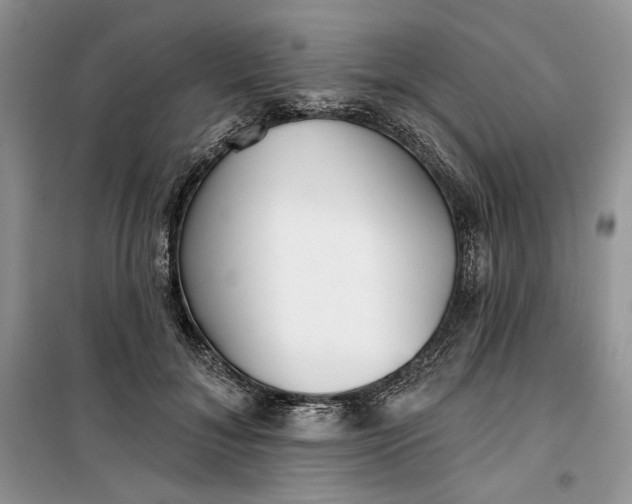 X0000099520700200805291211