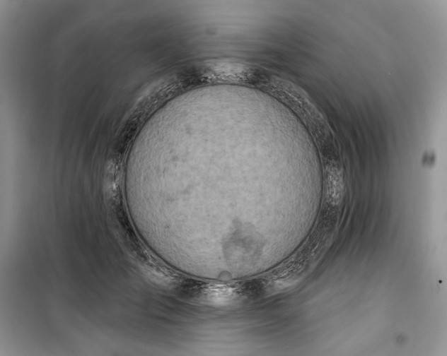 X0000099520701200805291211