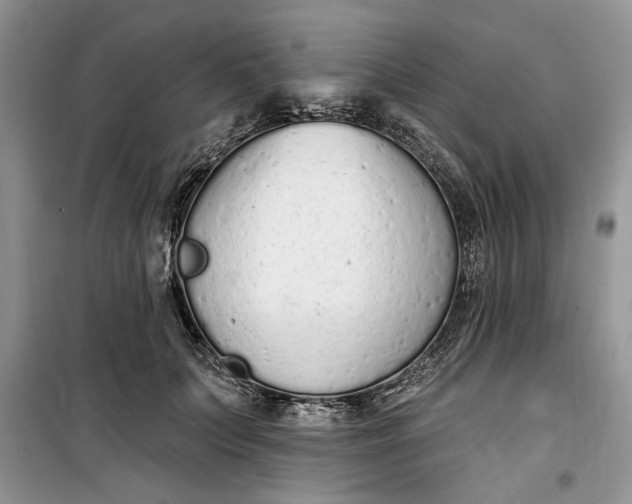 X0000099520703200805291211