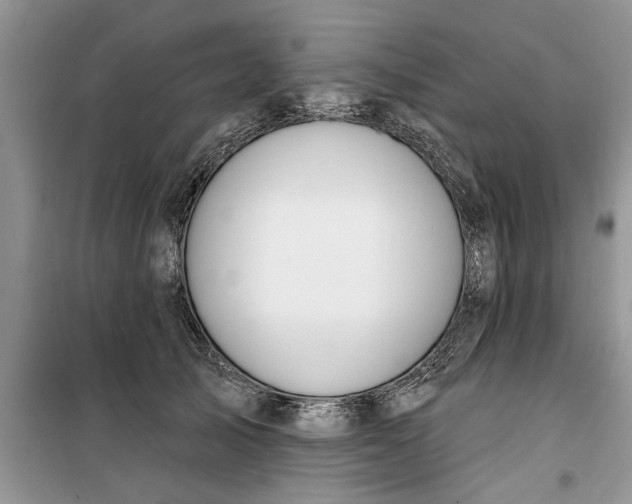 X0000099520705200805291211