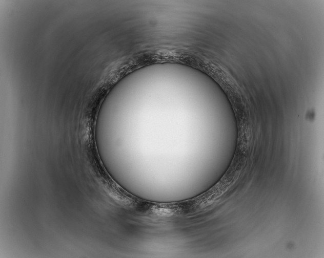 X0000099520706200805291211