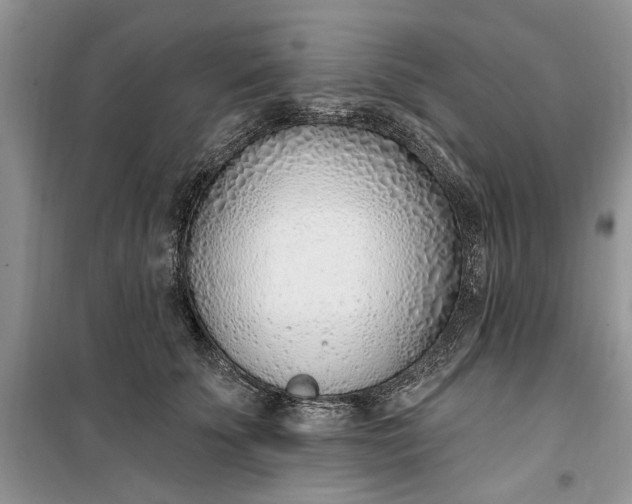 X0000099520707200805291211