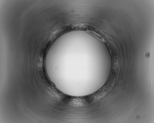 X0000099520708200805291211