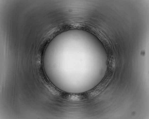 X0000099520710200805291211