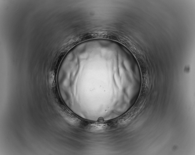 X0000099520711200805291211