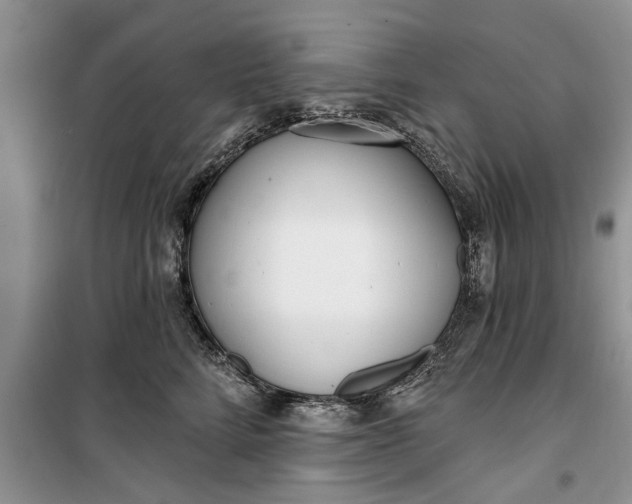 X0000099520712200805291211