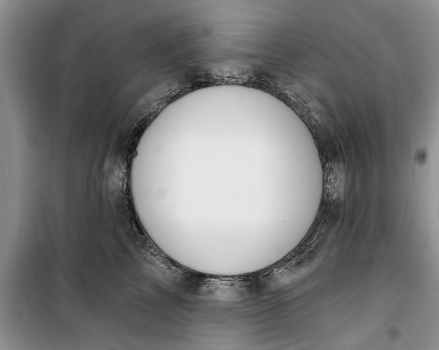 X0000099520713200805291211