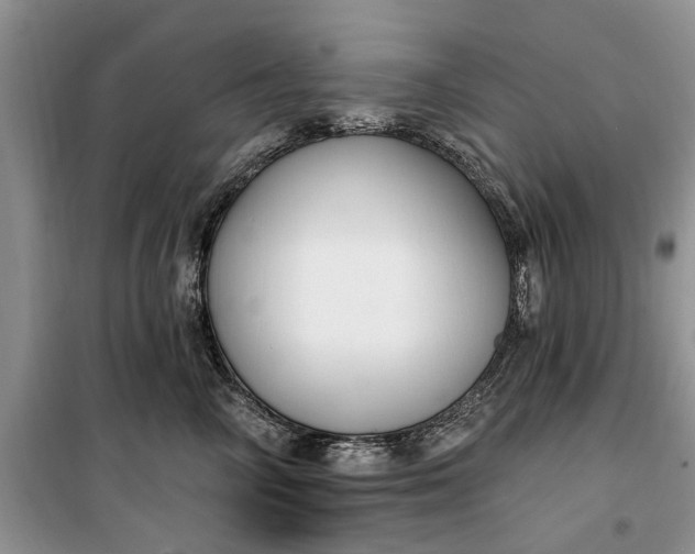 X0000099520714200805291211