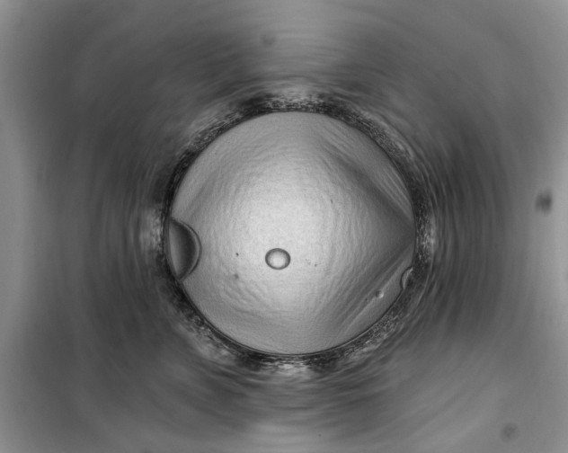 X0000099520715200805291211