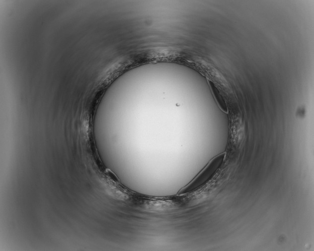 X0000099520716200805291211