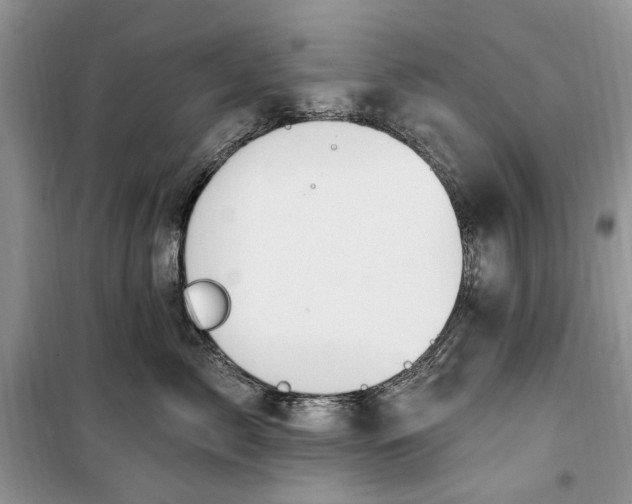 X0000099520717200805291211